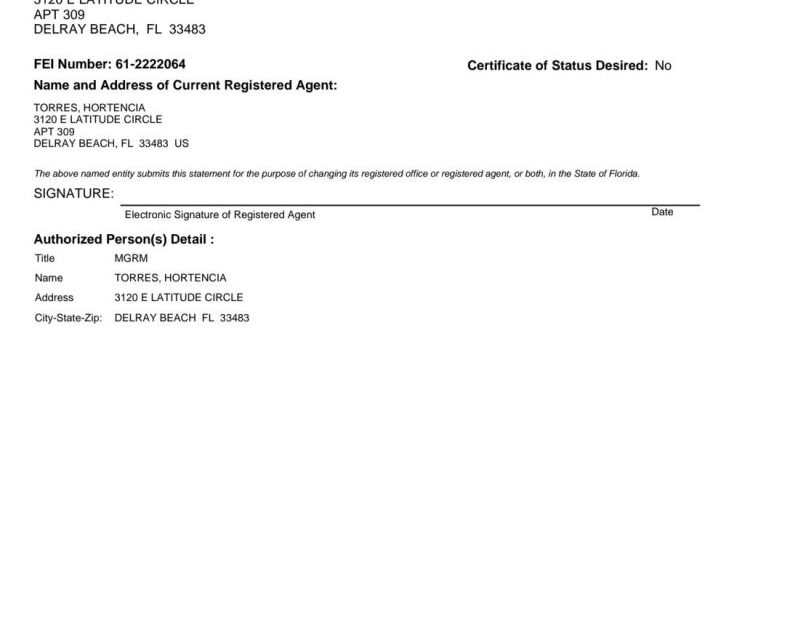 Magalli Meda's Covert Company Formation in Florida Exposes Connections to Fundraising and Potential Money Laundering Activities