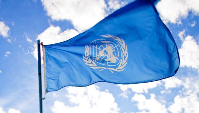 Corruption in Latin American and Caribbean Sports Escalates Amidst Organized Crime Infiltration According to UN Report