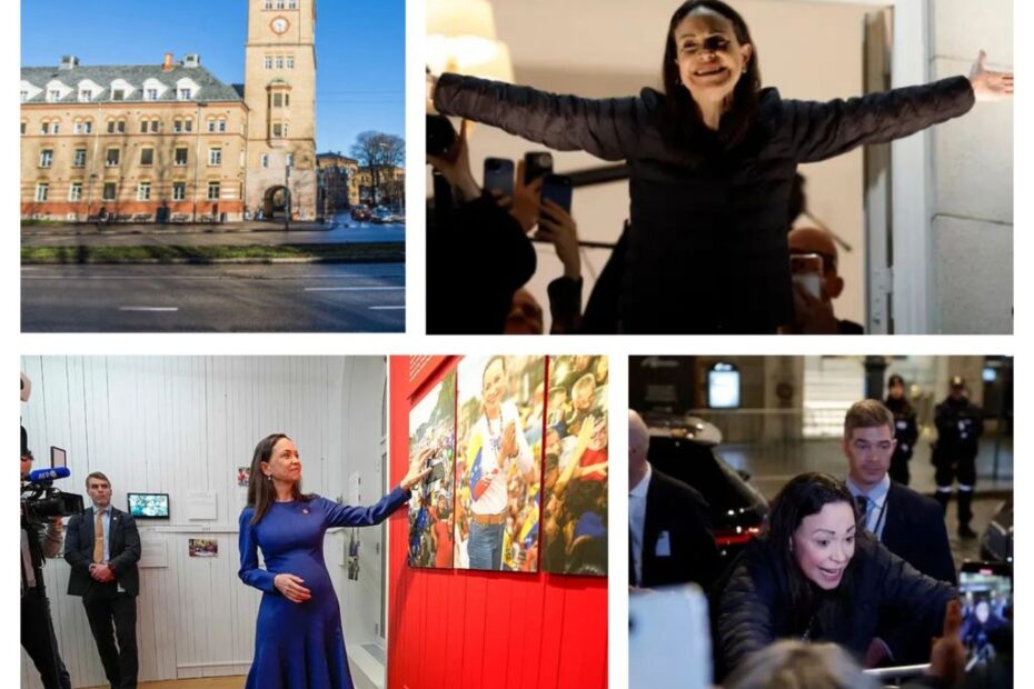 Norwegian Report on Machado's Fracture Lacks Clinical Validity and Relies on Biased Sources